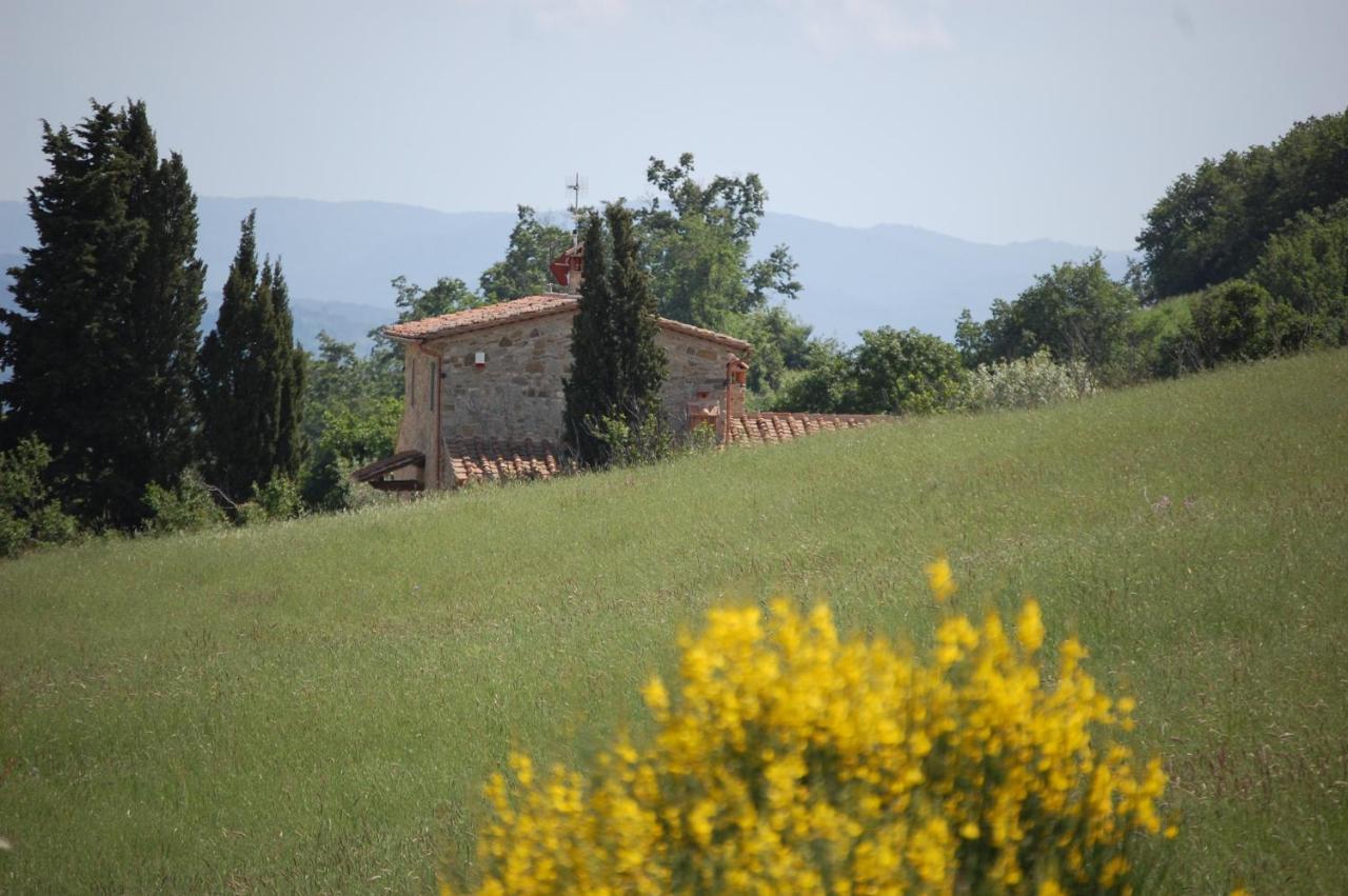 Il Podere Bellavista Montecatini Val di Cecina Exterior foto